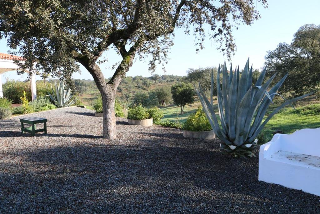 Monte Novo Da Sobreira, Rust En Ruimte In Zuid Alentejo Apartamento Ourique Exterior foto