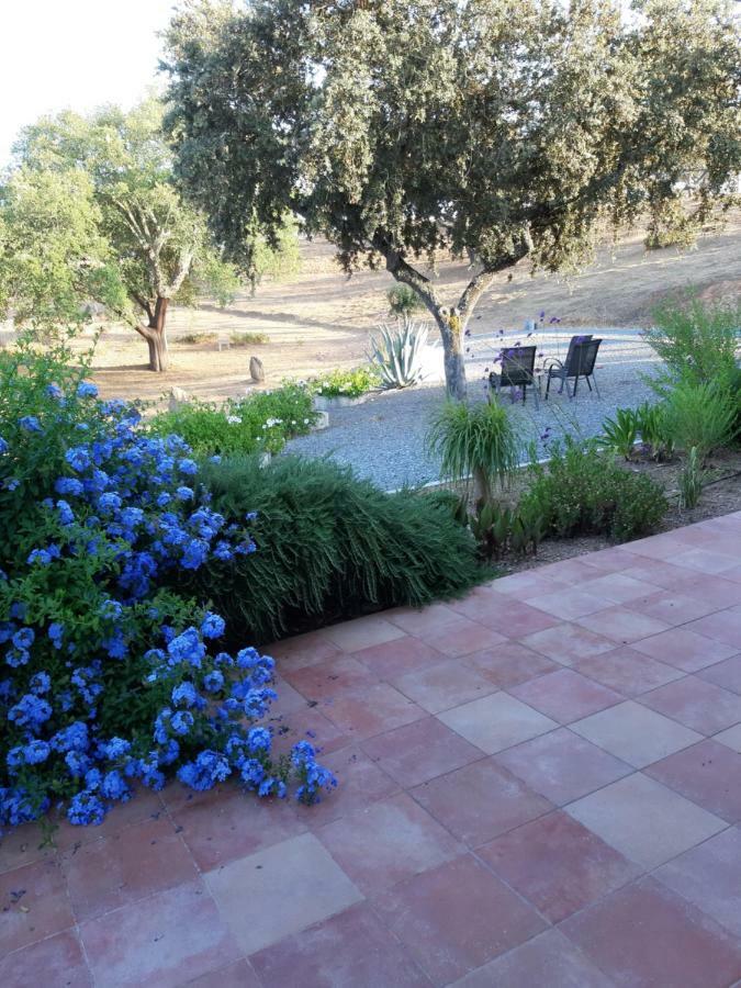 Monte Novo Da Sobreira, Rust En Ruimte In Zuid Alentejo Apartamento Ourique Exterior foto
